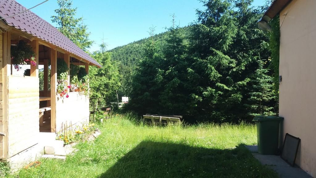 Cabana Ada 2 Vârtop Esterno foto